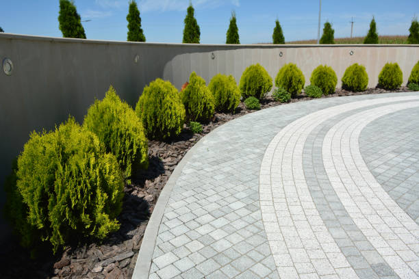 Best Driveway Paving Contractor  in New Fairview, TX